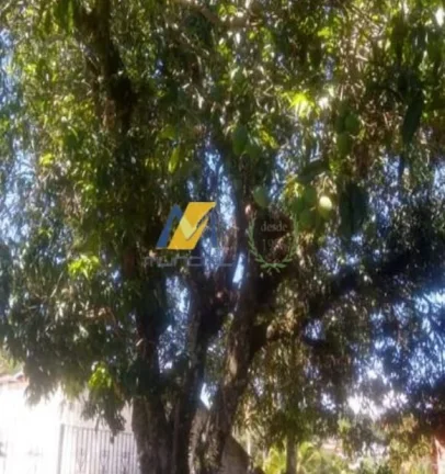 Imagem Vendo Casa em Atibaia, Retiro das Fontes