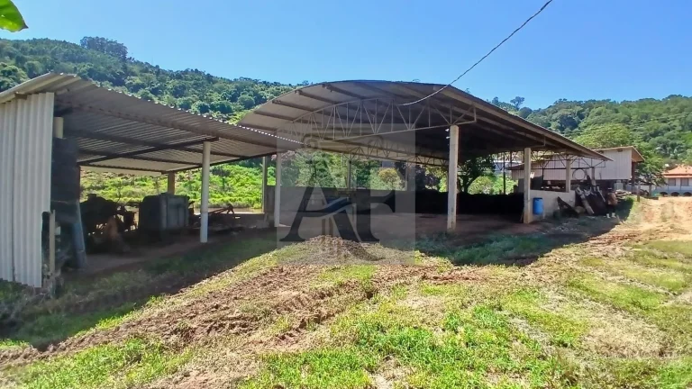Imagem Propriedade Rural a venda em Guaripocaba dos Souzas, Bragança Paulista