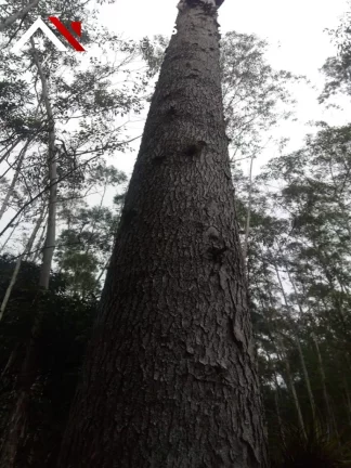 Imagem Sítio á venda 7,2 Hectares Oportunidade