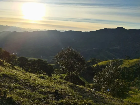 Imagem Legado e Exclusividade: Vinícola Particular no Alto da Boa Vista com 137.000 m² e Vista Panorâmica