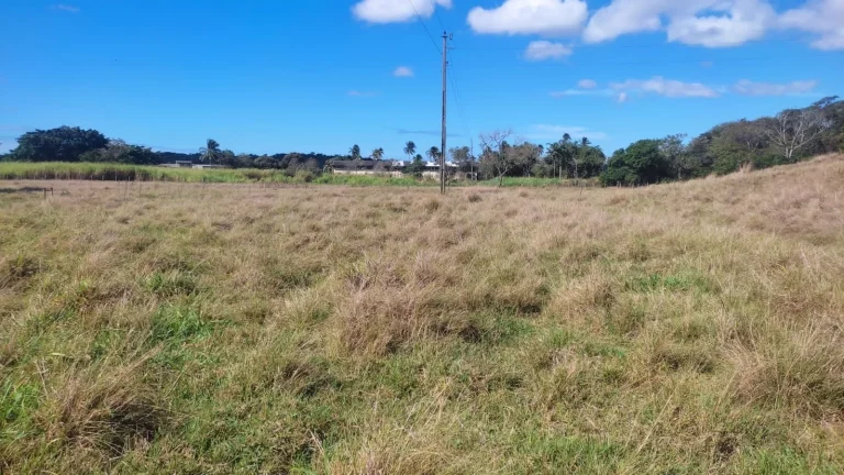 Imagem AREA RURAL em GUARAPARI - ES, COMUNIDADE URBANA DE SAMAMBAIA