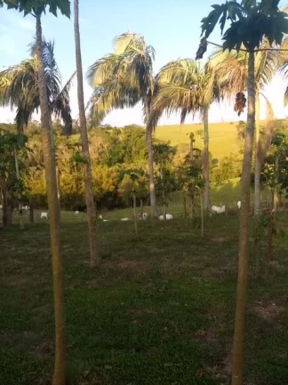 Imagem Sítio Encantador em Itapetininga - SP!