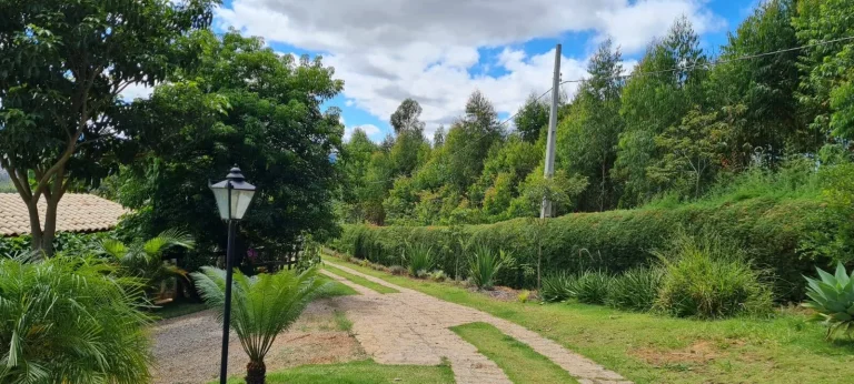 Imagem Lindo sítio em Pedra Bela