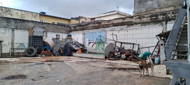 Imagem Terreno para alugar, 280 m² por R$ 4.000,00/mês - Jardim São Francisco - Guarulhos/SP