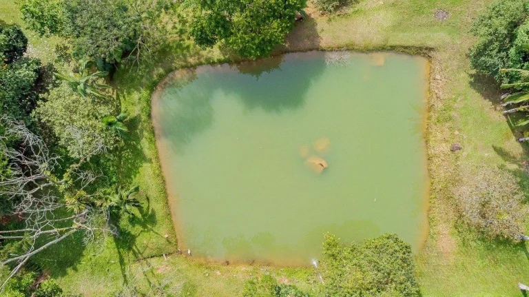 Imagem Chácara Rio Sagrado Morretes