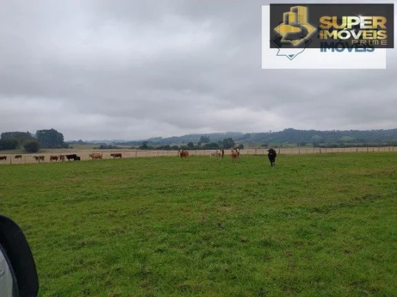 Imagem Fazenda Pecuária de excelência para Venda em Cristal-RS