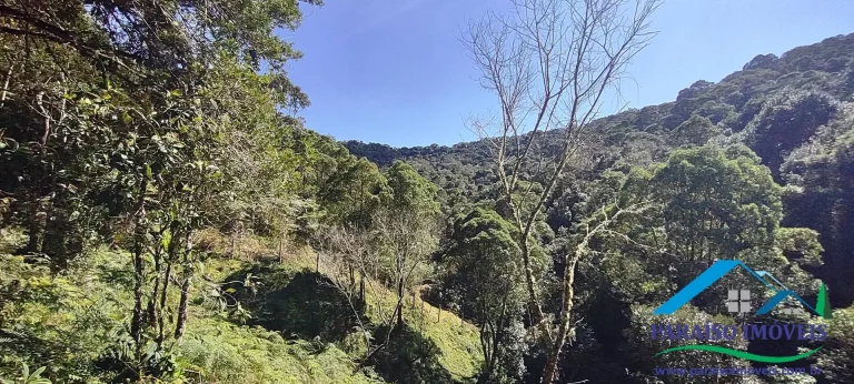 Imagem Terreno Rural na Serra da Mantiqueira | Sertão do Cantagalo