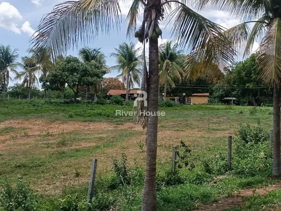 Imagem Encantadora Fazenda à Venda na Zona Rural de Nossa Senhora do Livramento