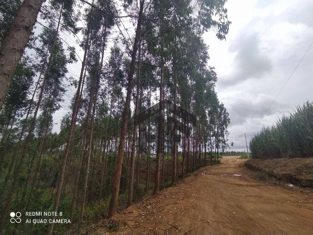 Imagem Chácara com 6 Quartos à Venda, 1.000 m² em Rural - Paudalho