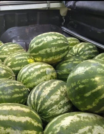 Imagem Fazenda à venda, 900.000 m² por R$ 1.500.000,00 - Zona Rural - Lagoa do Piauí/PI