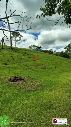 Imagem SÍTIO DOS SONHOS EM ANGELINA - SC Brasil