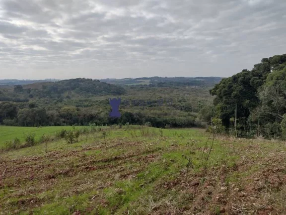 ÁREA PARA PLANTIO EM BALSA NOVA REGIÃO DO BUGRE
