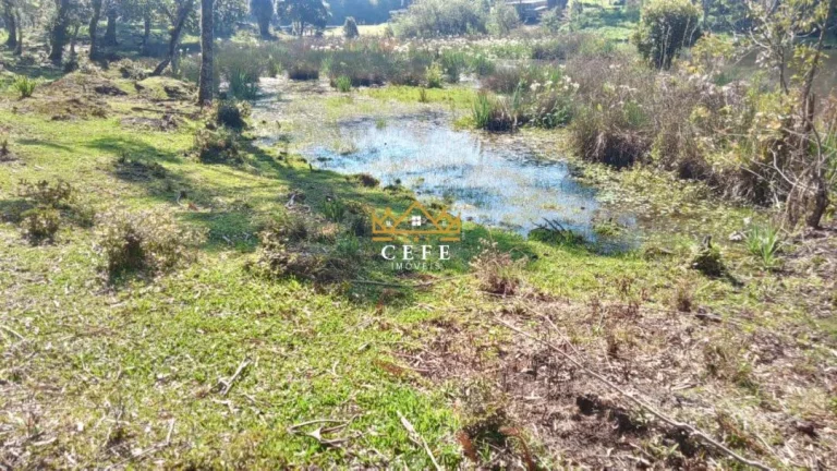 Imagem Chácara - Sítio com 1 Dormitorio(s) localizado(a) no bairro Ribeirão em São Francisco de Paula / RIO GRANDE DO SUL Ref.:1535