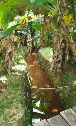 Imagem Sítio para Venda em Nova Friburgo, Amparo, 2 dormitórios, 1 suíte, 3 banheiros, 5 vagas