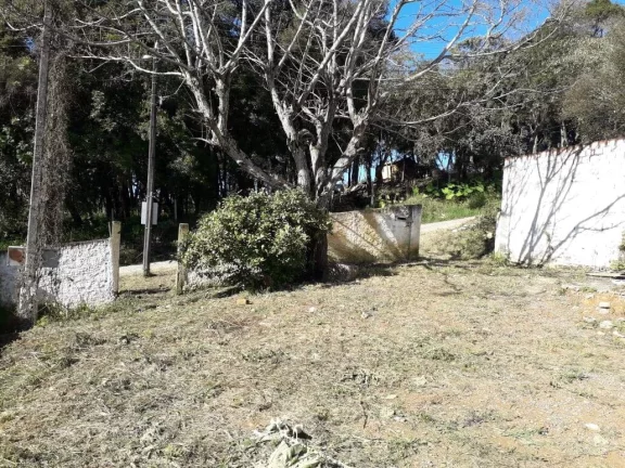 Imagem Terreno com 386,9 m² no Jardim Boa Vista em Campo Magro - R$220 mil
