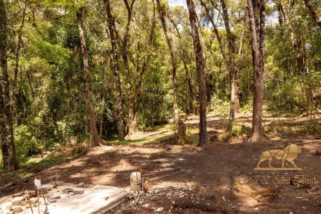 Imagem Terreno com 3132m a venda em Campos do Jordão