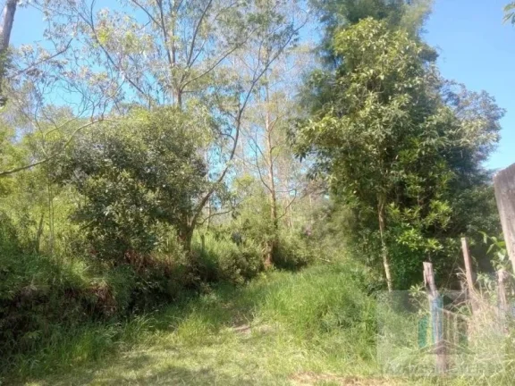 Imagem Terreno, 1300m2, à venda em Suzano, Jardim dos Eucaliptos