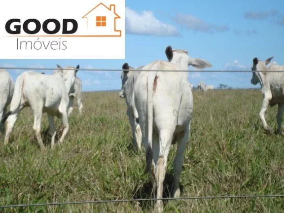 Imagem Fazenda RURAL em Silva Jardim - RJ, Silva Jardim