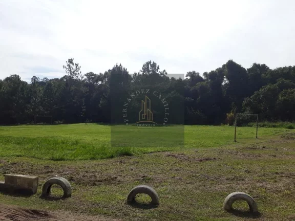 Imagem SÍTIO 8 ALQUEIRES / BAIRRO QUATINGA / IMÓVEL RURAL