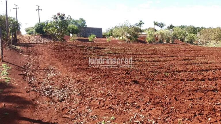 Imagem Chácara à venda 5800M², Zona Rural, Warta - PR
