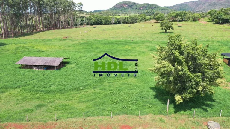 Imagem Fazenda Top de 165 Alqs em Padre Bernardo GO