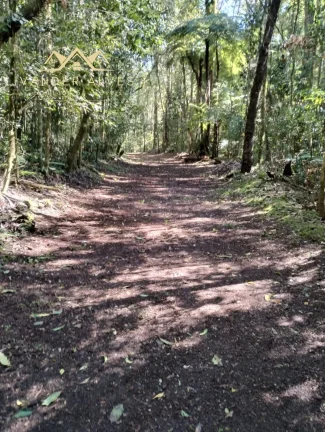 Imagem Chácara Exclusiva com 48mil m² à Venda à poucos minutos de Curitiba em Colombo-PR, Bairro Arruda: