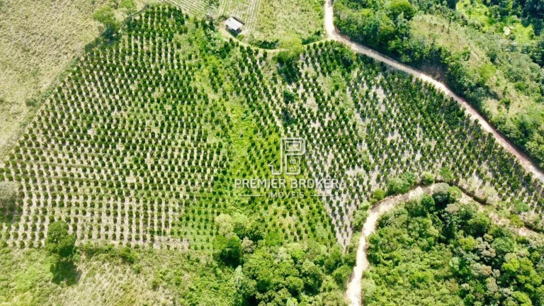 Imagem Sítio à venda, 90000 m² por R$ 900.000,00 - Fazenda Alpina - Teresópolis/RJ