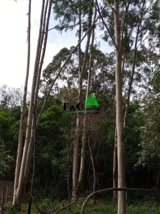 Imagem Terreno para Venda em Rio Claro, Área Rural de Rio Claro