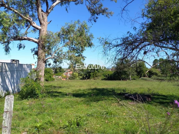 Imagem Terreno no bairro São José de 4801,4 m²