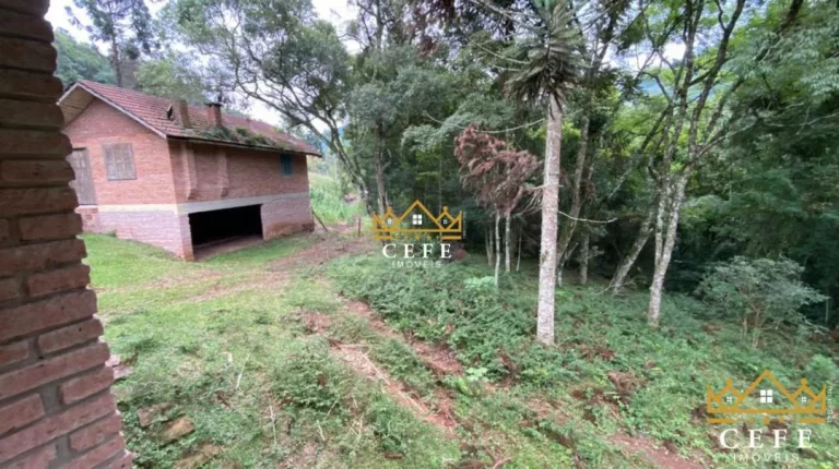 Imagem Chácara - Sítio com 4 Dormitorio(s) localizado(a) no bairro Linha Marcondes em Santa Maria do Herval / RIO GRANDE DO SUL Ref.:1283