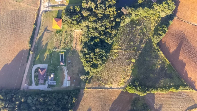 Imagem Chácara em Campo Magro
