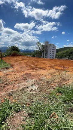 Imagem Lote 565 no Santa Maria - cod 1424