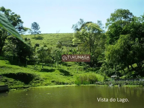 Imagem Chácara à venda, 8000 m² por R$ 650.000,00 - Itapeva - Itapeva/MG