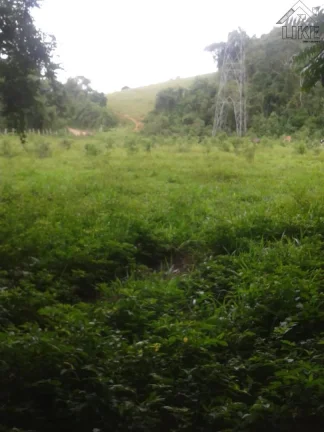 Imagem [Vendo Sítio em Brazópolis] [7 hectares com córrego d'água]