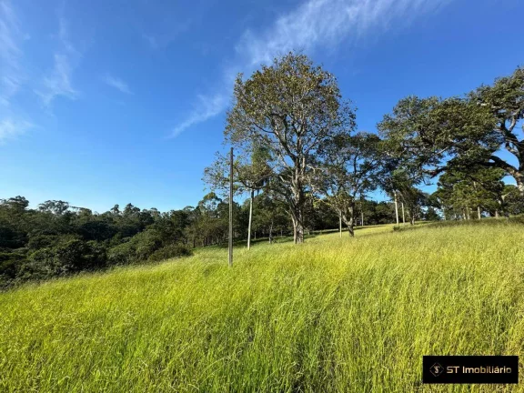 Imagem Área à venda em Terra Preta Mairiporã/SP - 48.000m² Próxima à Rodovia!