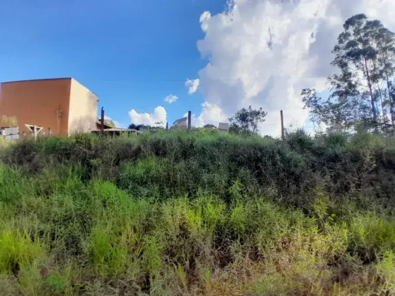 Imagem Lote à venda em Barbacena, Colônia Rodrigo Silva, 2500m2