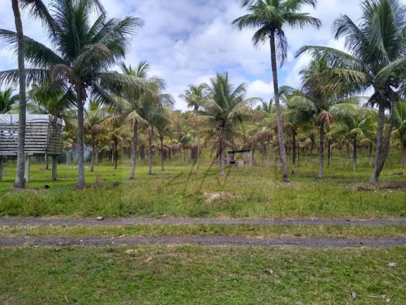 Imagem Vendo Fazenda produtiva 250mil m2, Conde / BA