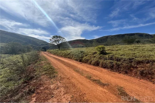 Imagem Fazenda à Venda, 720.000 m² em Centro - São Roque De Minas