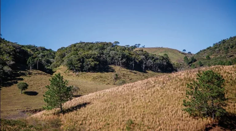 Imagem Terreno para Venda em Rancho Queimado / SC no bairro Villa do Prado