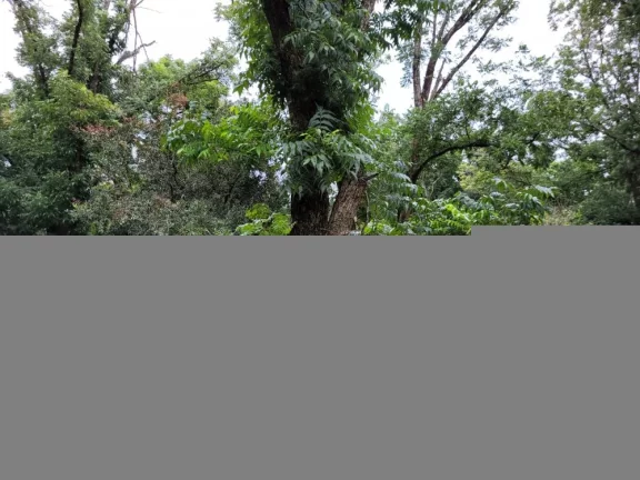 Imagem vende - sítio na região de Cabreúva-sp