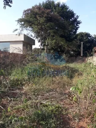 Imagem Terreno - Ribeirão Preto - Jardim Salgado Filho I - Região Norte