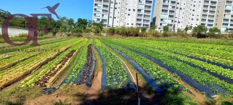 Imagem Excelente Terreno de 24.400 m² com ótima localização no bairro de Medeiros!