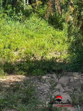 Imagem Terreno a Venda na Região da Cidade do Sol em Campos do Jordão -SP.