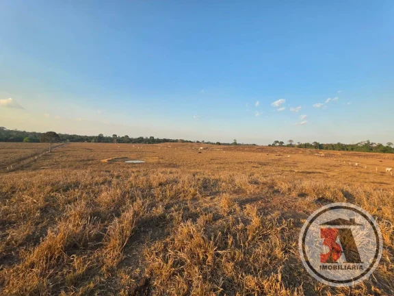 Imagem Terra de Patrão c/ 412 hectares à 27 km de Porto Velho