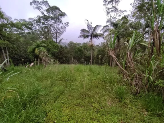 Imagem CHÁCARA RESIDENCIAL À VENDA, ESTÂNCIA PIRATININGA/PALMEIRAS, SUZANO
