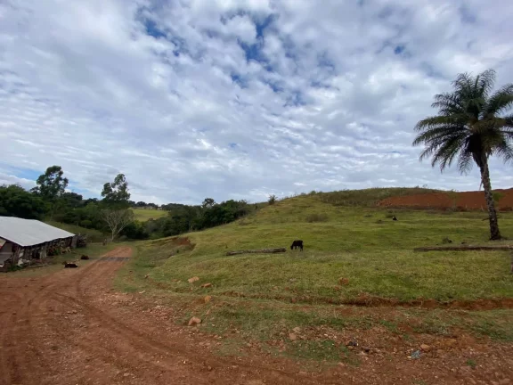 Imagem Área rural para criação de gado de 7,762 ha com 3,2 ha de aproveitamento para gado