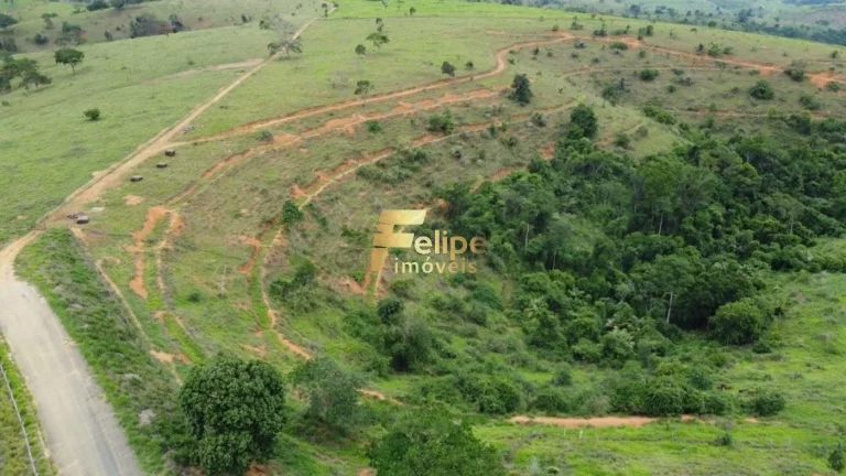 Imagem Fazenda 55 alqueires escriturada produtiva com muita água em Colatina.