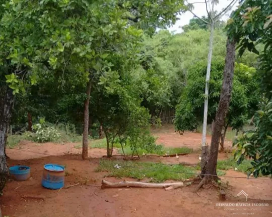Imagem Chácara à venda a no Recanto dos Pintados às margens do Rio Aquidauana