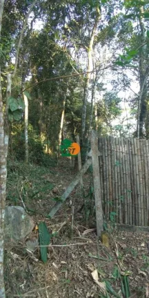 Imagem Terreno para Venda em São Roque, Jardim Dos Andes (mailasqui)