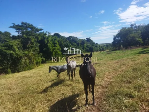 Imagem Sítio - Mococa - Zona Rural